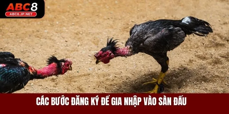 Các bước đăng ký để gia nhập vào sàn đấu
