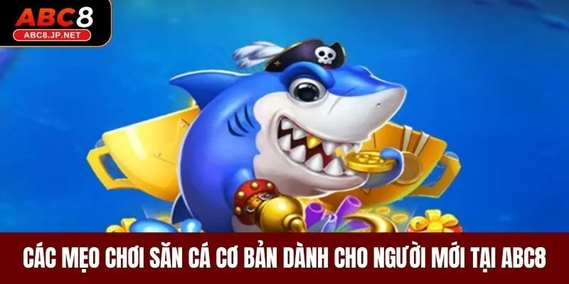 Các mẹo chơi săn cá cơ bản dành cho người mới tại ABC8