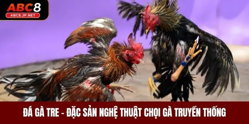 Đá Gà Tre - Đặc Sản Nghệ Thuật Chọi Gà Truyền Thống