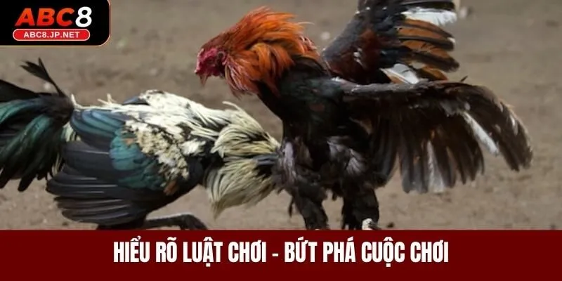 Hiểu rõ luật chơi - Bứt phá cuộc chơi