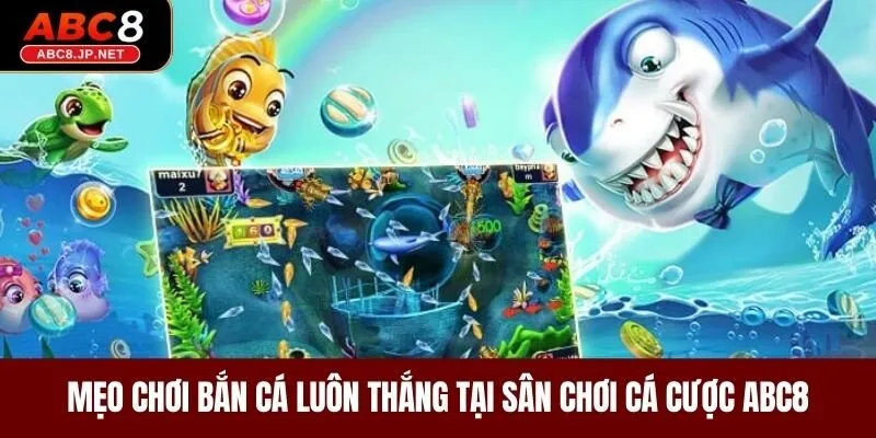 Mẹo chơi săn cá nâng cao để chiến thắng lớn tại ABC8