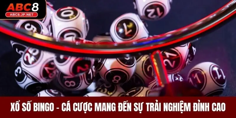 Xổ Số Bingo - Cá Cược Mang Đến Sự Trải Nghiệm Đỉnh Cao
